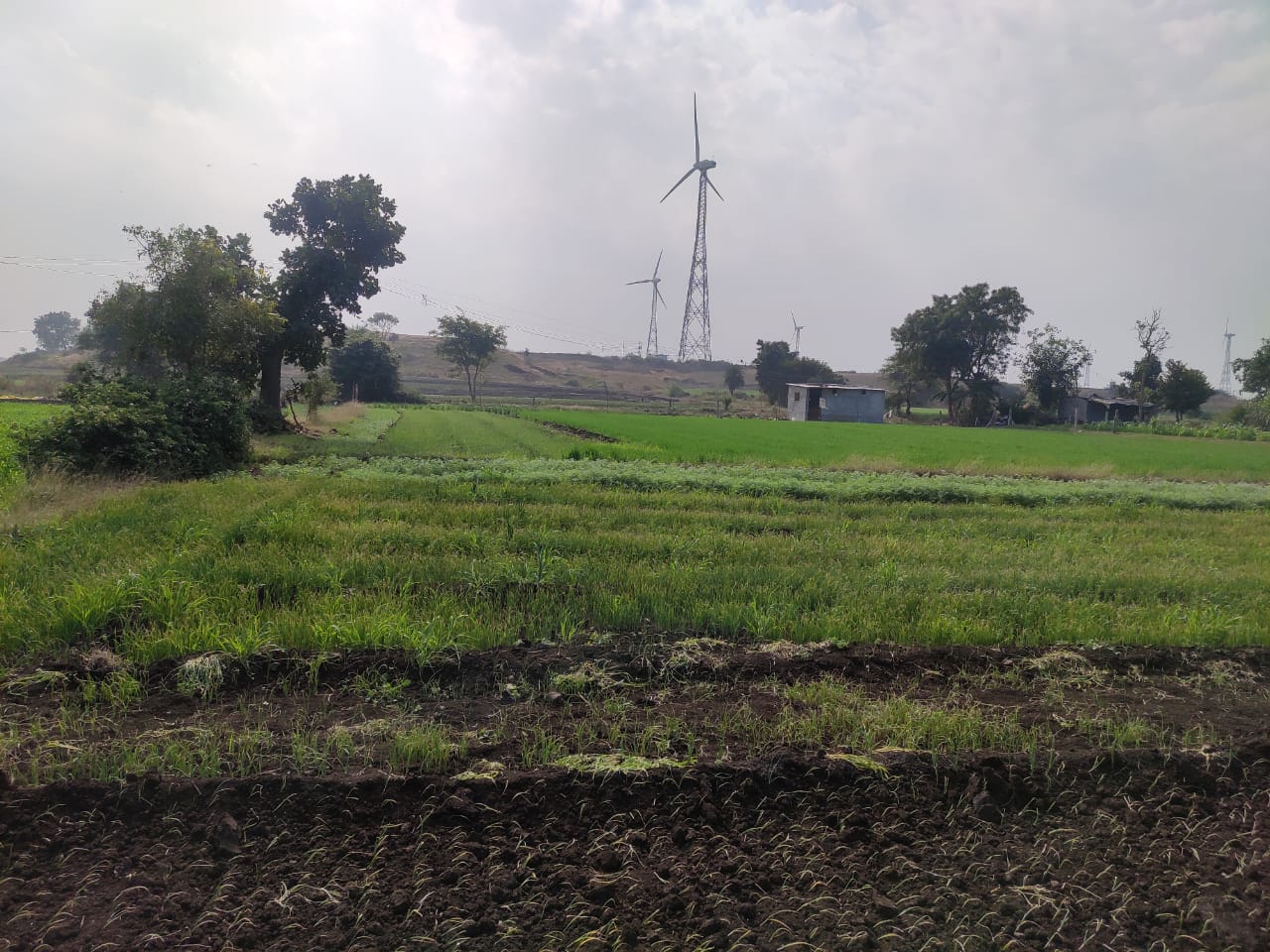 Farms